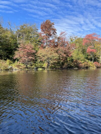 Promised Land State Park - Greentown, PA
