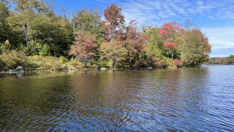 Promised Land State Park - Greentown, PA