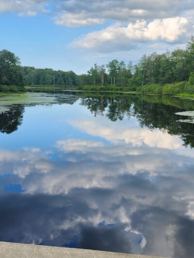 Promised Land State Park Beechwood Camping Area - Greentown, PA