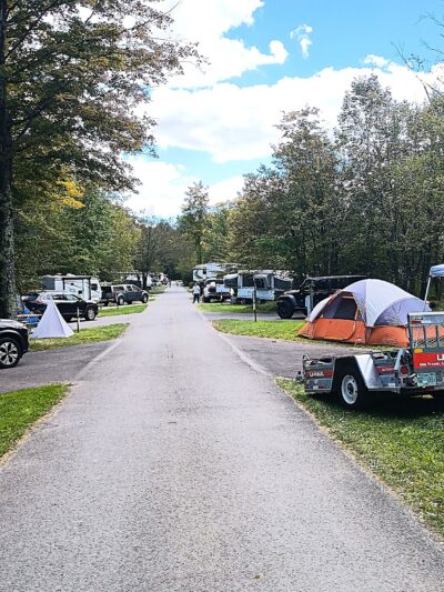 Promised Land State Park Beechwood Camping Area - Greentown, PA