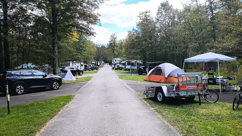 Promised Land State Park Beechwood Camping Area - Greentown, PA