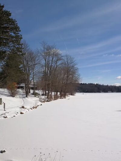 Promised Land State Park Cabins - Greentown, PA