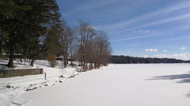 Promised Land State Park Cabins - Greentown, PA
