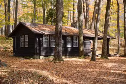 Promised Land State Park Cabins - Greentown, PA