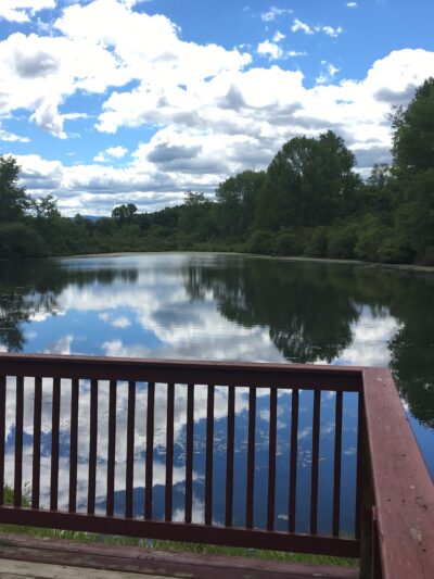 George V Vanderbilt Park - Greenville, NY