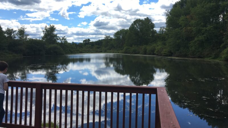 George V Vanderbilt Park - Greenville, NY