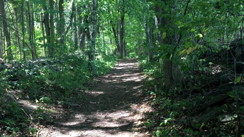 George V Vanderbilt Park - Greenville, NY