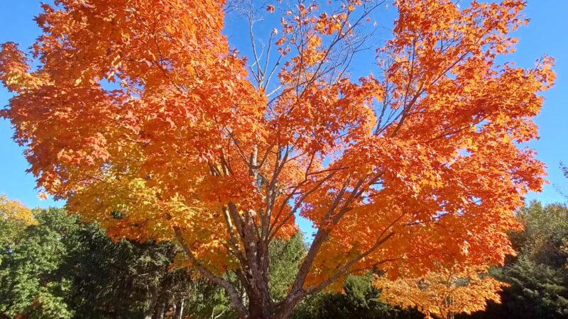 Deerfield Park - Greenville, RI