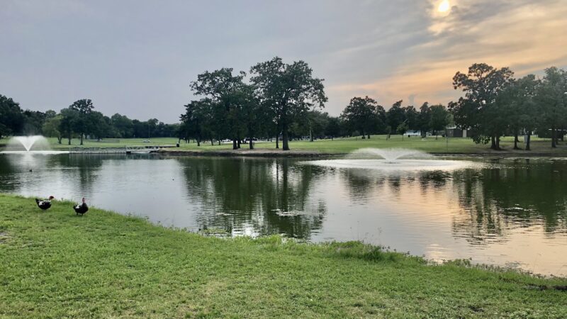 Graham Park - Greenville, TX