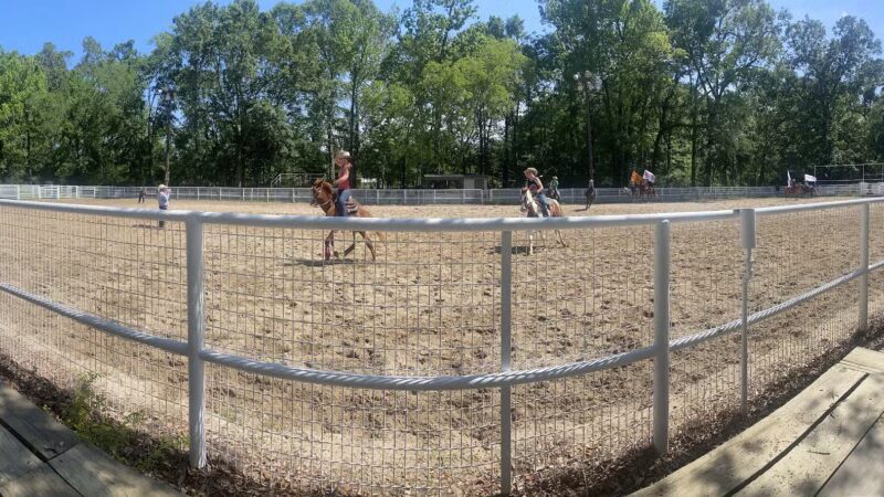 Greenwell Springs Park - Greenwell Springs, LA