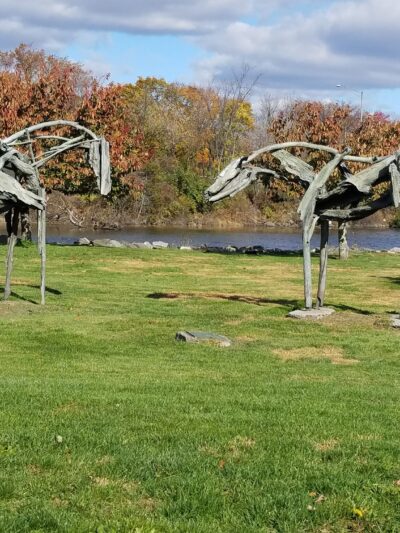 Bruce Park - Greenwich, CT
