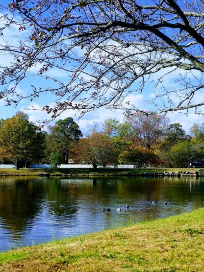 Bruce Park - Greenwich, CT