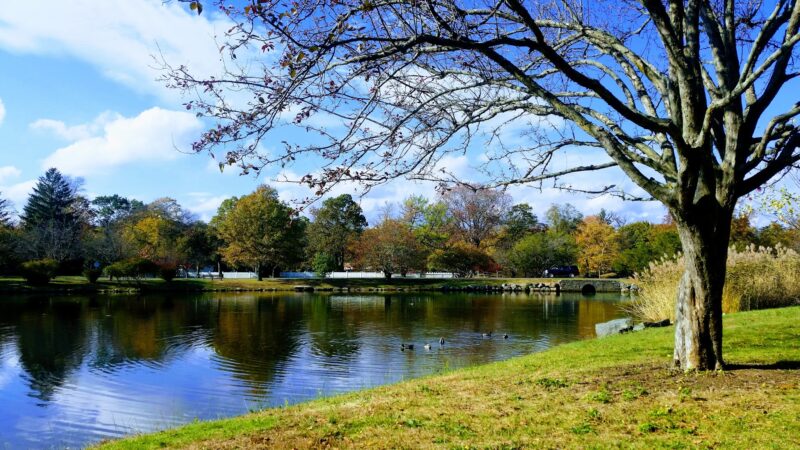 Bruce Park - Greenwich, CT