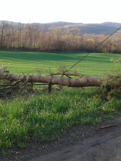 High Goal Farm, LLC - Greenwich, NY