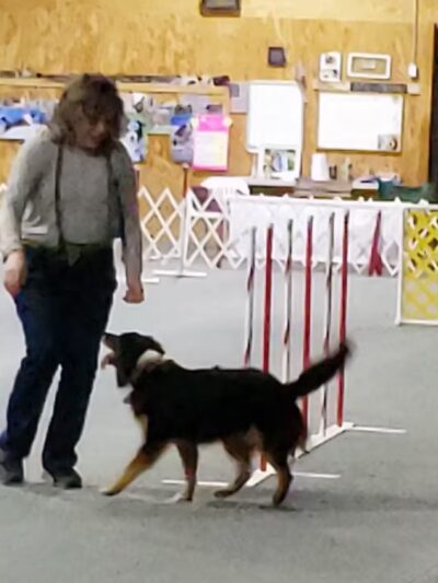 High Goal Farm, LLC - Greenwich, NY