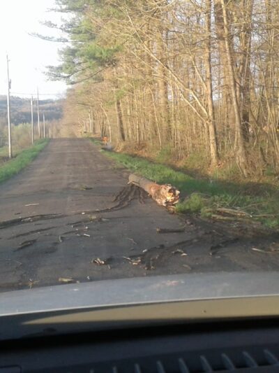 High Goal Farm, LLC - Greenwich, NY