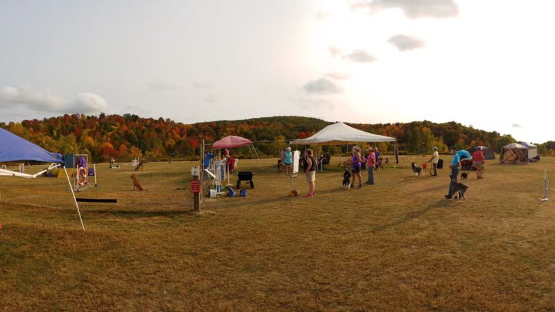 High Goal Farm, LLC - Greenwich, NY