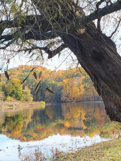 Riverfront Park - Greenwich, NY