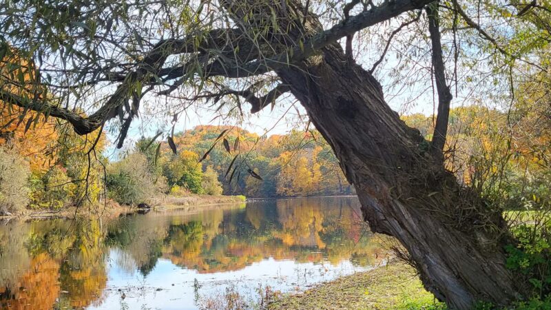 Riverfront Park - Greenwich, NY