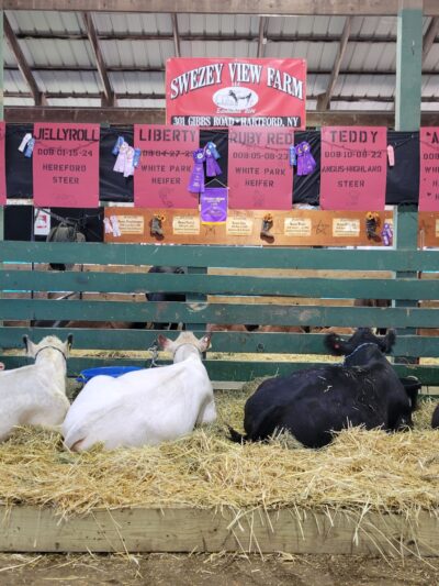 Washington County Fair, Inc. - Greenwich, NY