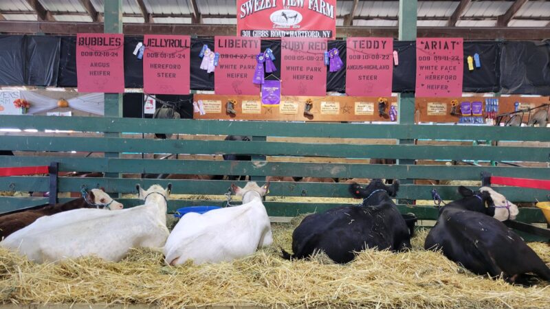 Washington County Fair, Inc. - Greenwich, NY