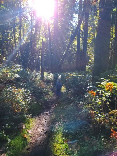 Ancient forest trail - Gresham, OR
