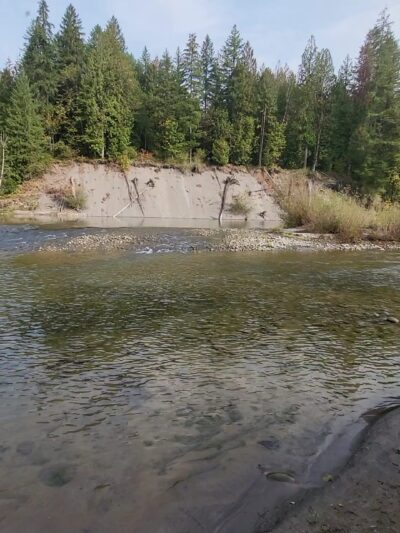Ancient forest trail - Gresham, OR