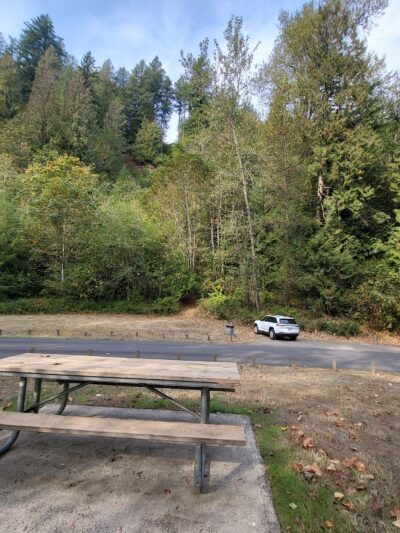 Ancient forest trail - Gresham, OR
