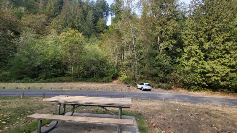 Ancient forest trail - Gresham, OR
