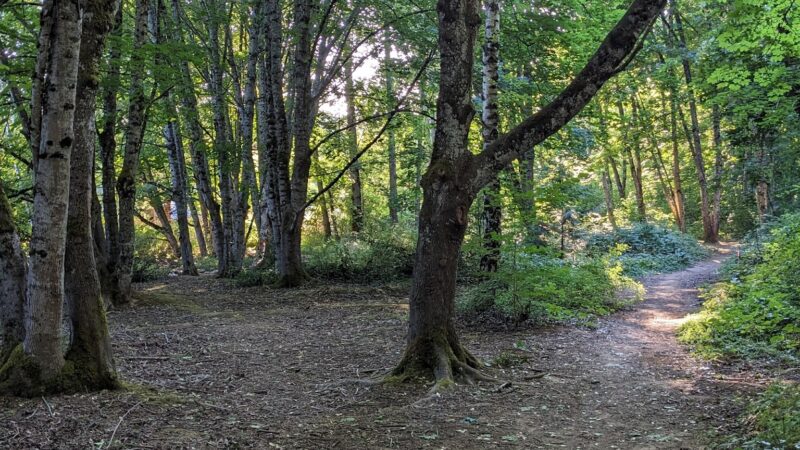 East Gresham Park - Gresham, OR