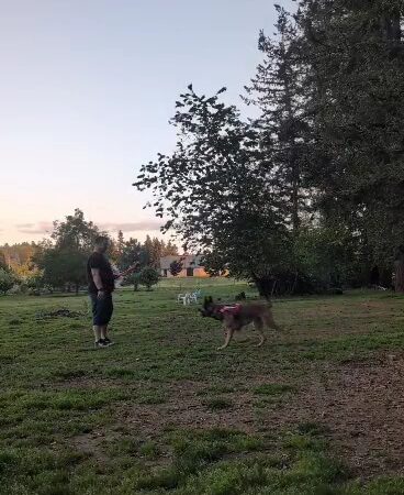 Fenced Off-Leash Dog Park - Gresham, OR