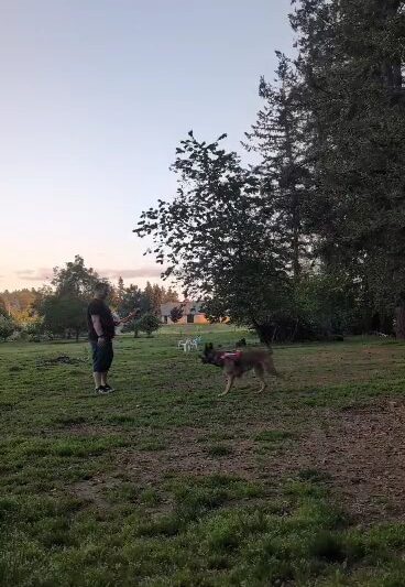Fenced Off-Leash Dog Park - Gresham, OR
