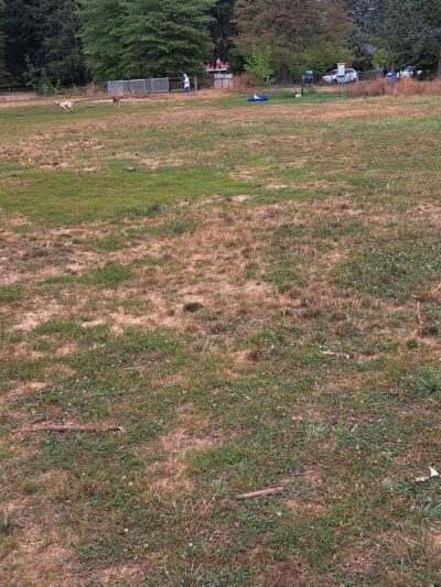 Fenced Off-Leash Dog Park - Gresham, OR