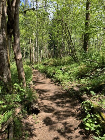 Ironwood Park - Gresham, OR