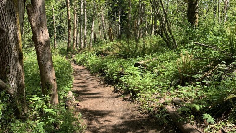 Ironwood Park - Gresham, OR
