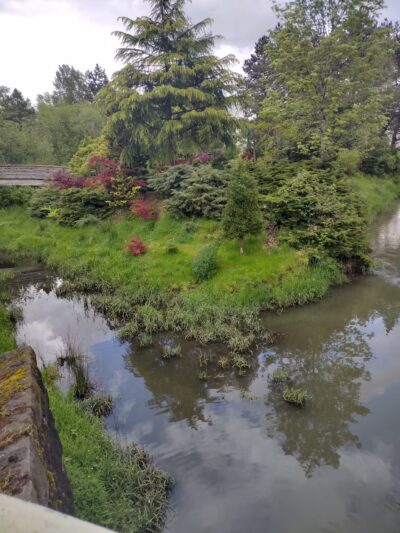 Main City Park - Dog Park - Gresham, OR