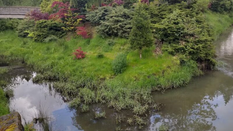 Main City Park - Dog Park - Gresham, OR