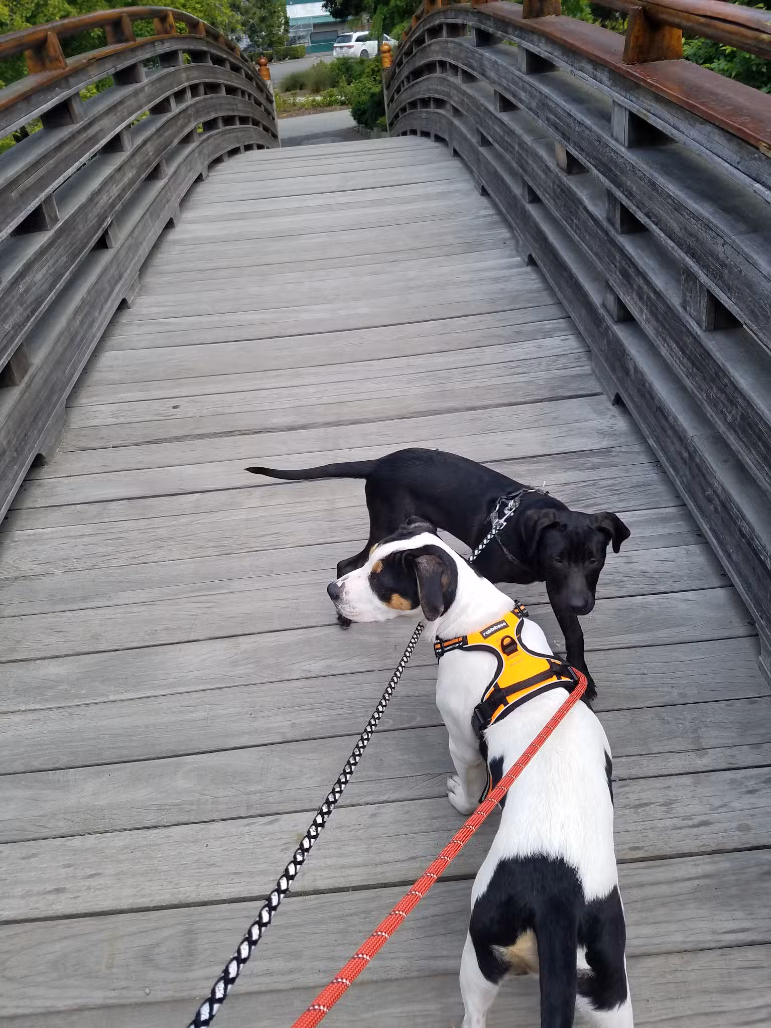 Main City Park - Dog Park - Gresham, OR