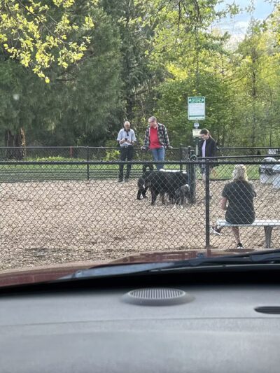 Main City Park - Dog Park - Gresham, OR