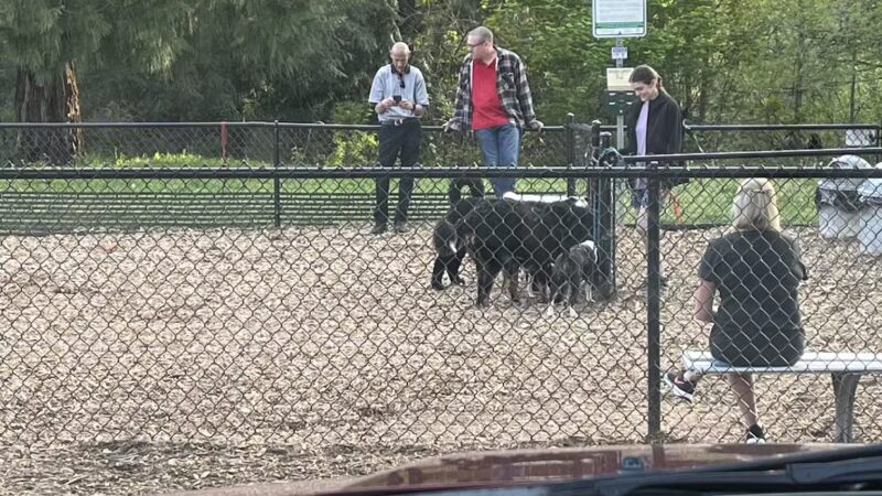 Main City Park - Dog Park - Gresham, OR