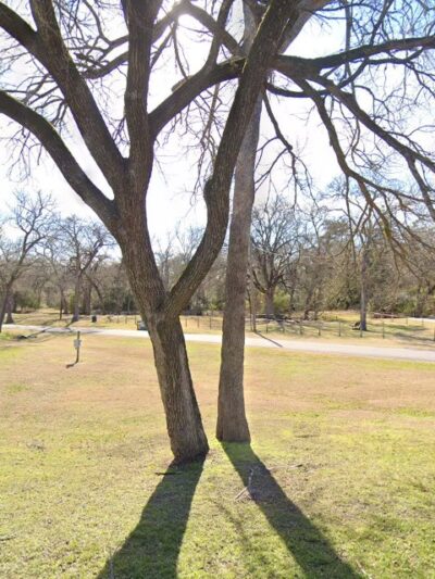 Groesbeck City Park - Groesbeck, TX