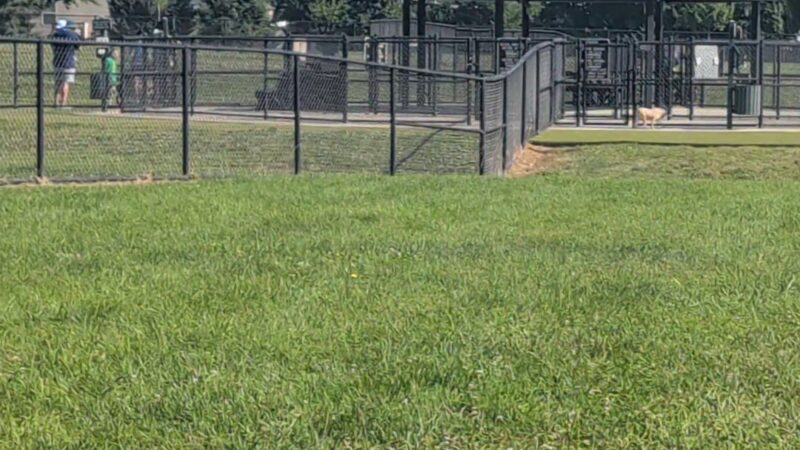 Breck Community Dog Park - Grove City, OH