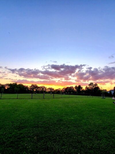 Breck Community Dog Park - Grove City, OH