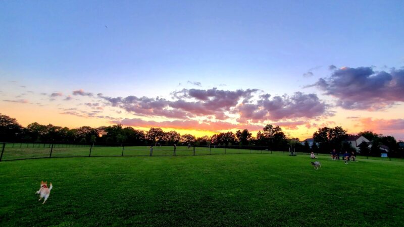 Breck Community Dog Park - Grove City, OH