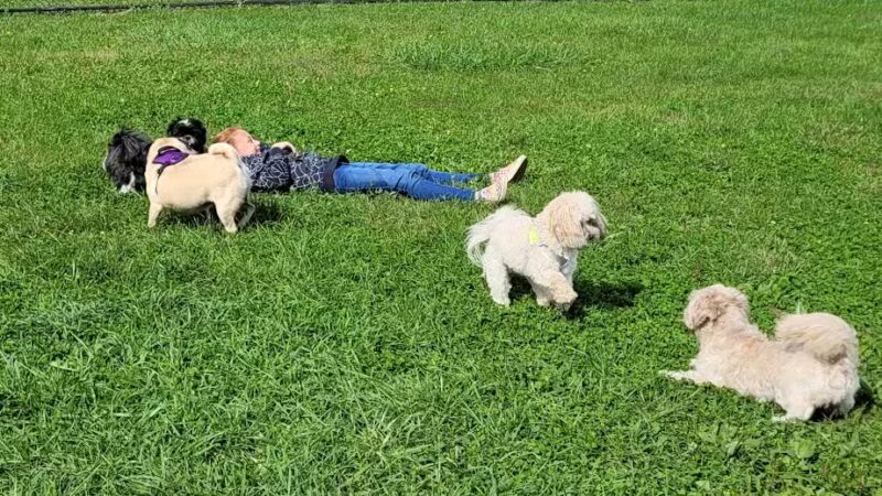 Breck Community Dog Park - Grove City, OH