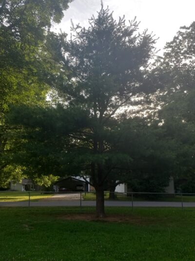 Rotary Veterans Park - Grove, OK