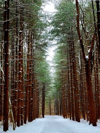 Walnut Woods Metro Park - Groveport, OH