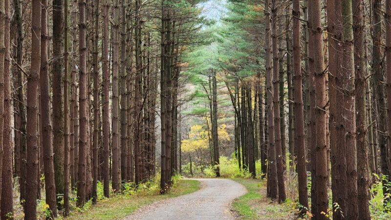 Walnut Woods Metro Park - Groveport, OH
