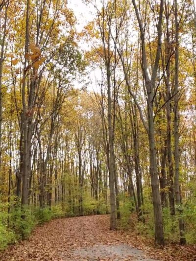 Walnut Woods Metro Park - Groveport, OH