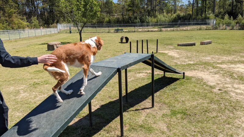 Goodale Dog Park - Grovetown, GA